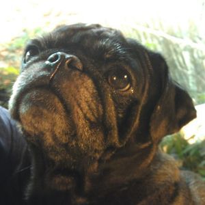 Meet your Posher, Shanan